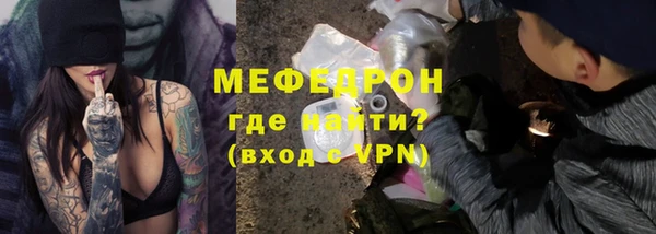 индика Арсеньев