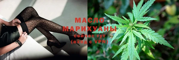 индика Арсеньев