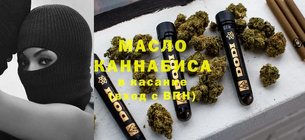 индика Арсеньев