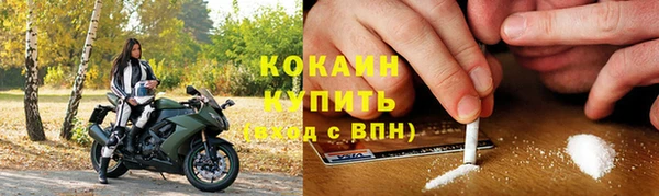 индика Арсеньев